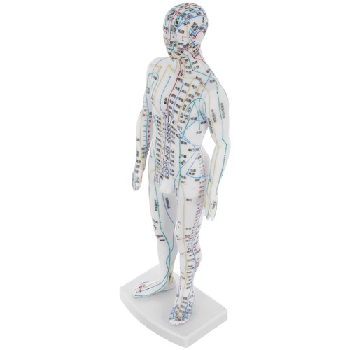 Acupuncture and massage - and,