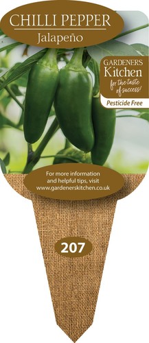 Chilli plants jalapeno - -, 3