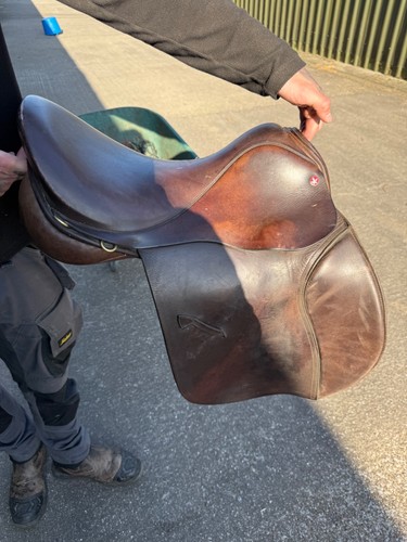 Falcon saddle brown w - falcon, m/w