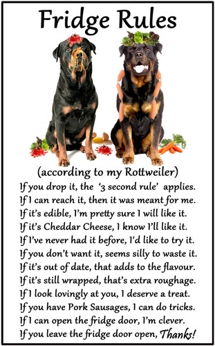 Rottweiler dog gift fridge - rottweiler,