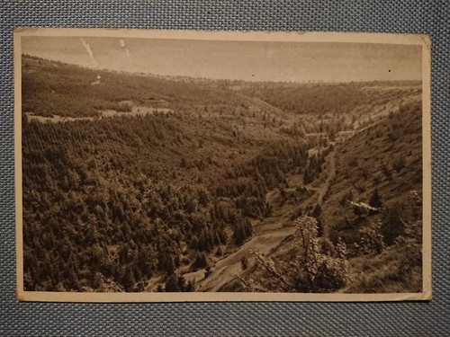Old picture postcard - old,