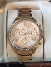 Rare Fossil Ladies Analogue