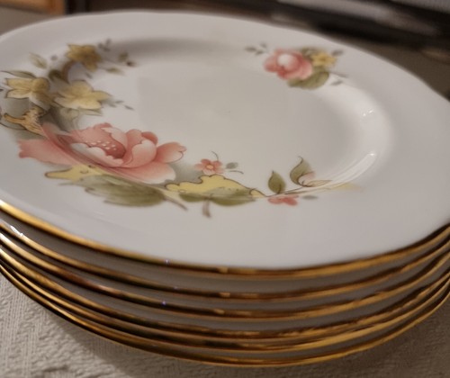 Duchess peach rose vintage - rose,