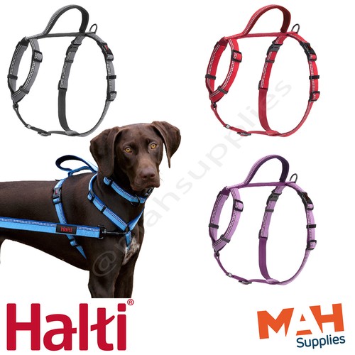 Halti dog harness walking - dog,
