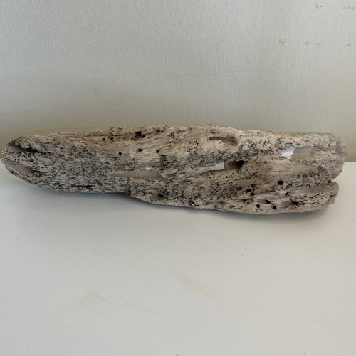 Unique driftwood piece - unique, –