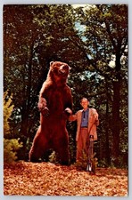 Giant taxidermy Alaska Brown