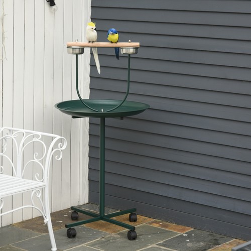 Bird parrot play stand - play,
