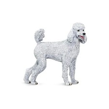 Mini White Poodle | Poodle