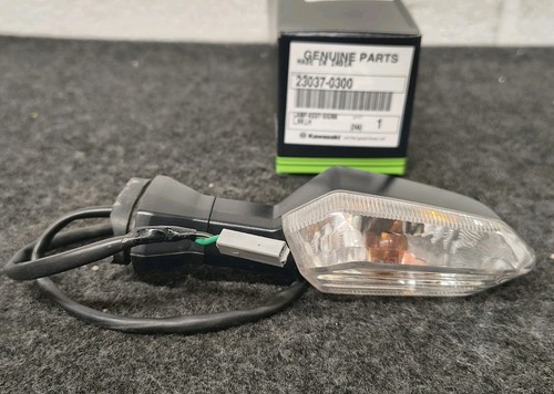 Kawasaki versys 1000 - 1000, indicator