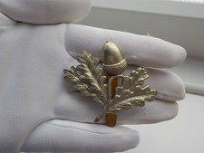 Army  badge.the south