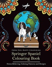 Springer Spaniel Colouring
