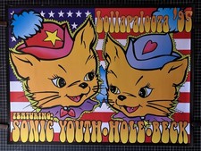 SONIC YOUTH BECK HOLE