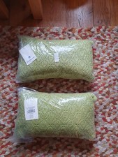 Sanderson Cushion x2