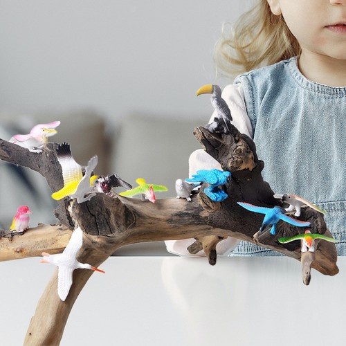 12x simulation bird figures - bird,