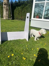 Four adjustable dog flyball