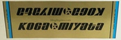 Koga miyata seat - miyata, decals