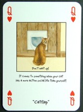 1 x playing card Magnificent