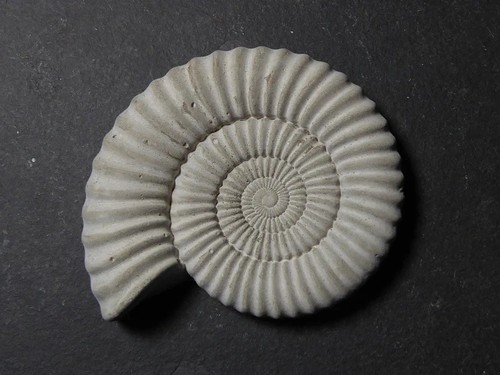 Handcrafted cast stone - cast,