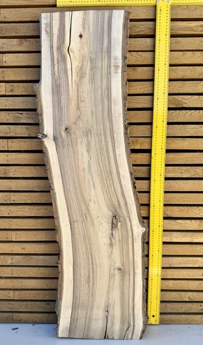 European walnut live edge - live, slab