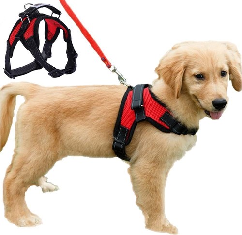Dog harness mesh breathable - dog,