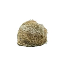 Dog field rabbit fur - rabbit,