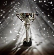 Silver Bowl Handled Cup Trophy School Competition FREE engraving & P&P