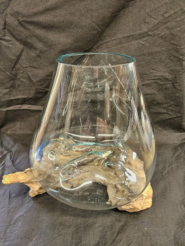 Rootwood with molton glass - with,