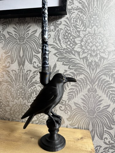 Black raven bird - black,
