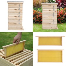 Langstroth Beehive Fir Wood Bee Hive Beekeeping Honey Box Frame Kit UK