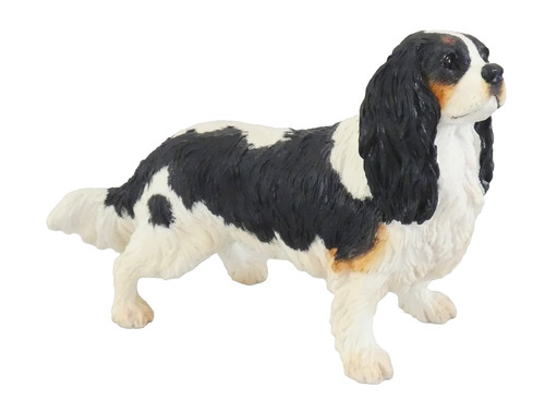 Cavalier king charles spaniel - charles,