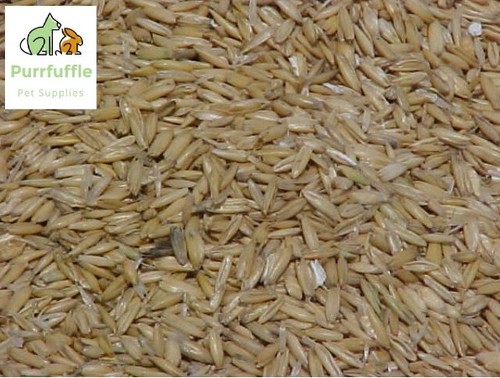 20kg whole oats - whole,