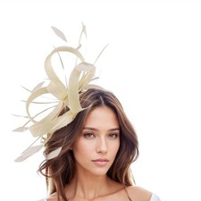 Cream Ivory Off White Kentucky