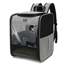Backpack Cats, Puppies And