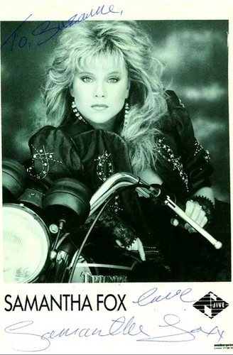 Sam fox large - fox, quality