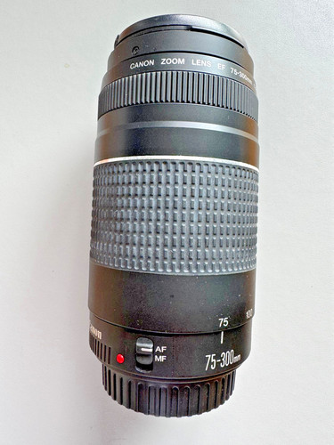 Canon 300mm 5 - canon, ef