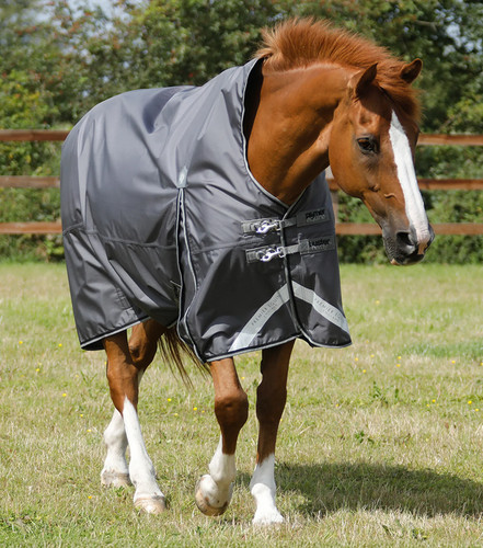 Premier equine buster hardy - premier,