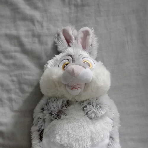 Grey white rabbit hot - white,