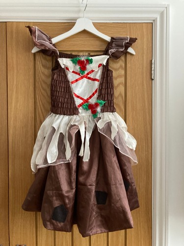 Princess fancy dress - princess, up