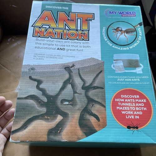 Bins ant nation build your - ant,