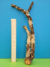 Cork bark branch 46cm snake - branch,