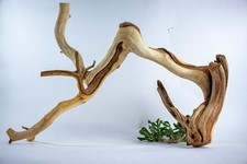 Manzanita Aquarium Driftwood