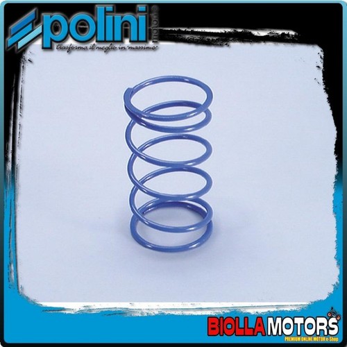 243 047 polini - 243.047, blue
