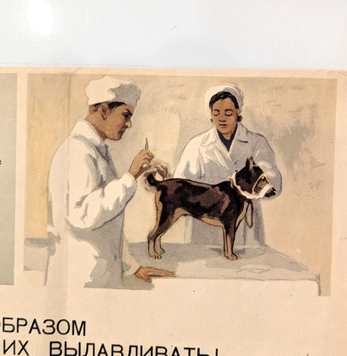 1956 soviet public dog poster - 1956,