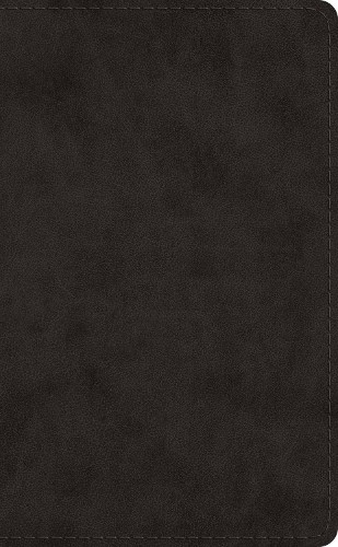 Esv pocket bible - pocket,