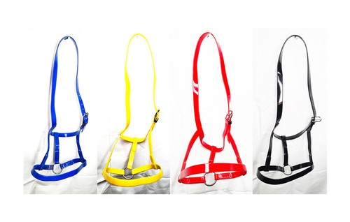Pvc horse driving - pvc, halter