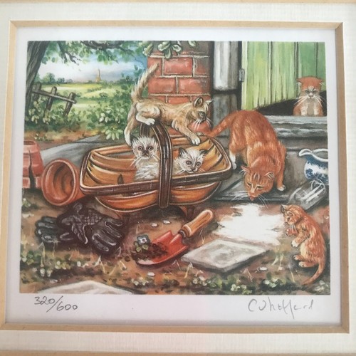 Cats kittens small art - &,