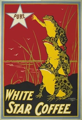 Az20 vintage1899 white star - white,