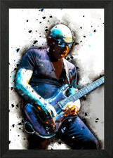 Joe Satriani Framed Wall Art