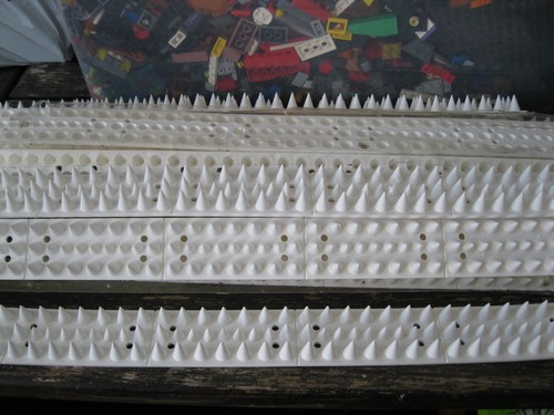 White pigeon strips length - white,