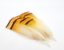 Golden Pheasant Tippets - Fly